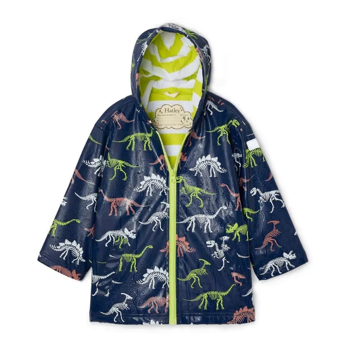 Hatley verfärbende Kinder Regenjacke Dino Fossils S21DBK818